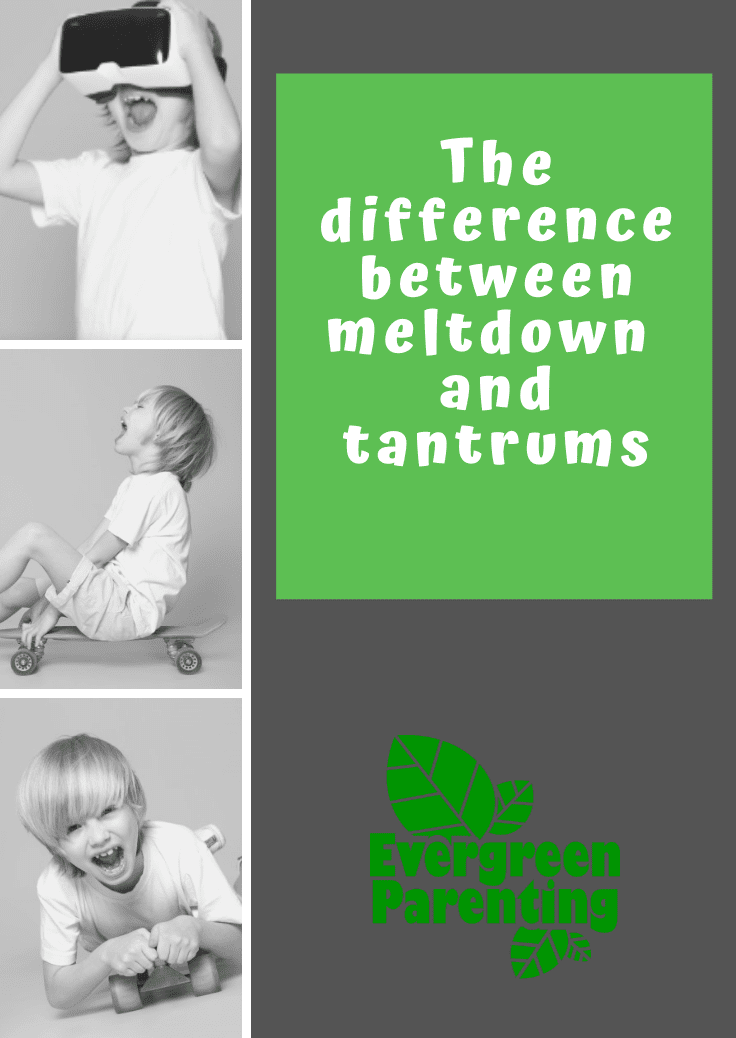 Zoom Talk – The difference between meltdown and tantrums